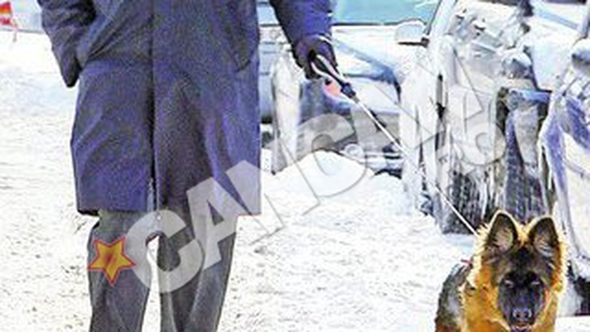 Iarna nu-i ca vara pentru Marian Alecu! Nici "Idefix" nu-l mai inveseleste pe "Obelix"