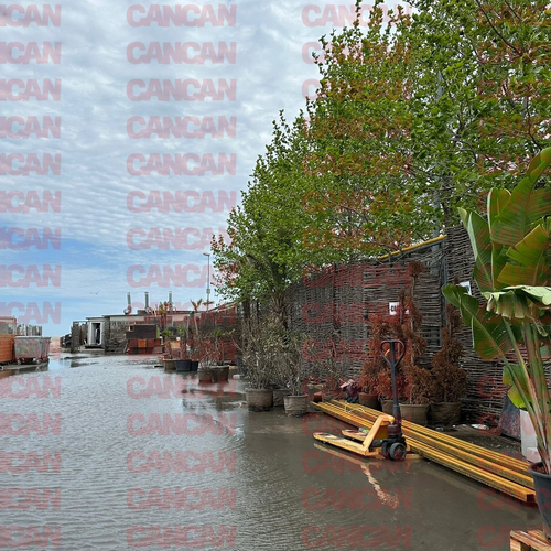 Imagine Galerie #1