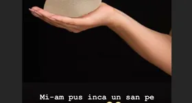 Galerie foto - poza 1