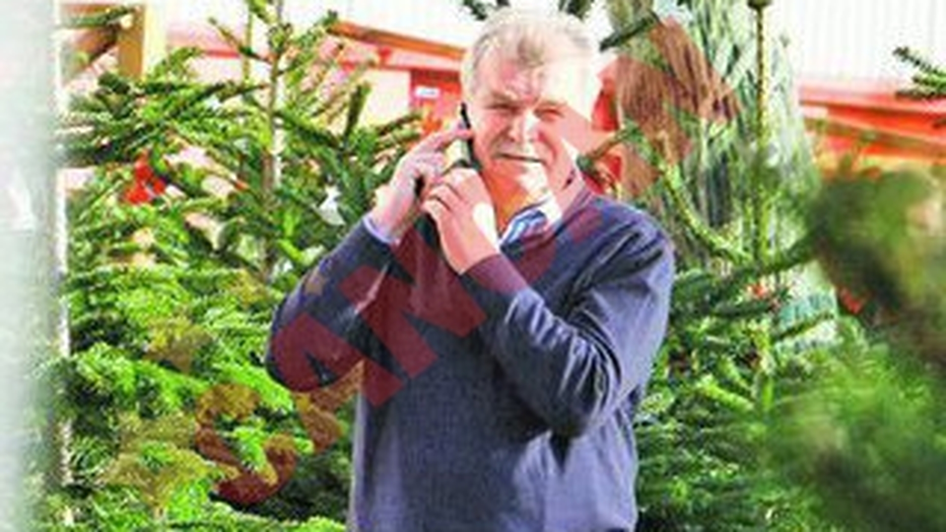 "Vama" si-a luat un brad de... nu poate sa-l care