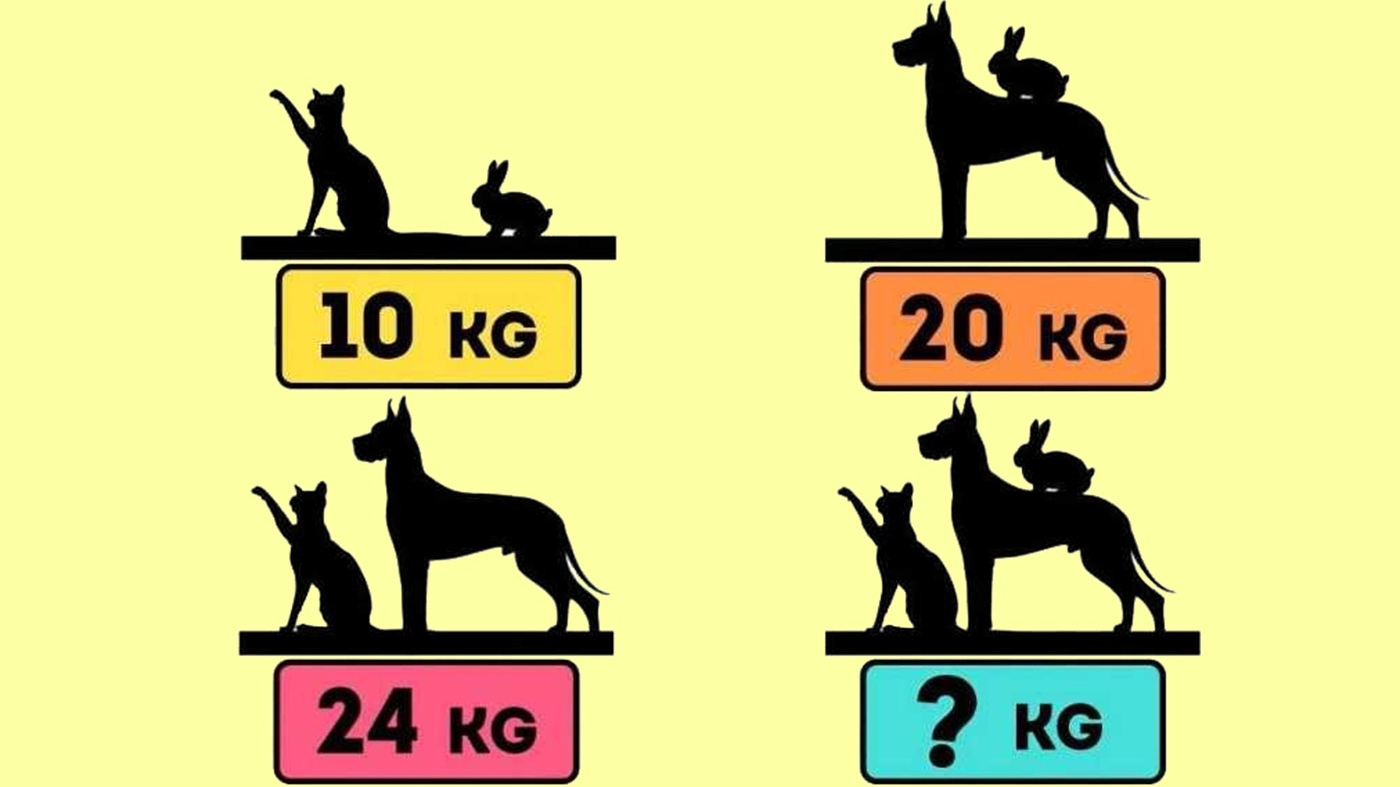 Test de inteligență | Câte kilograme au un câine, o pisică și un iepure? Rezolvați "ecuația" din imagine!