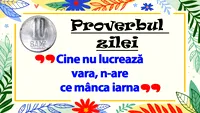 PROVERBUL ZILEI | Cine nu lucrează vara, n-are ce mânca iarna