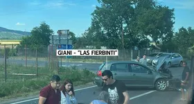 Galerie foto - poza 1