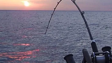 Un roman aflat la pescuit in Irlanda a murit inecat