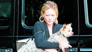 Lui Hillary Duff i-a cazut un dinte chiar in ziua nuntii!