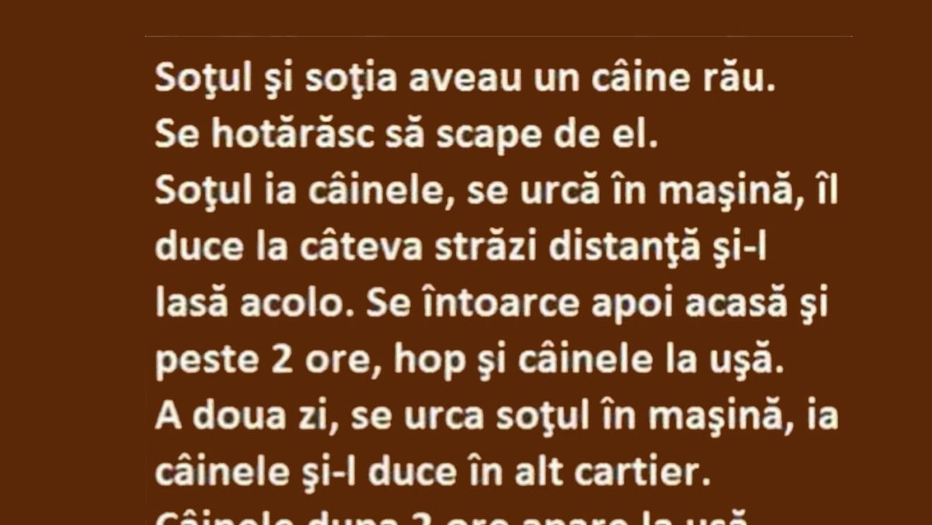 BANCUL ZILEI | Soțul, nevasta și câinele rău