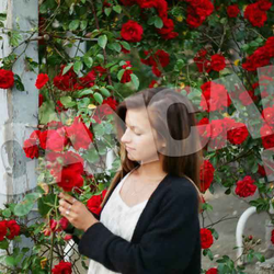 Imagine Galerie #3