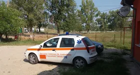 Galerie foto - poza 3