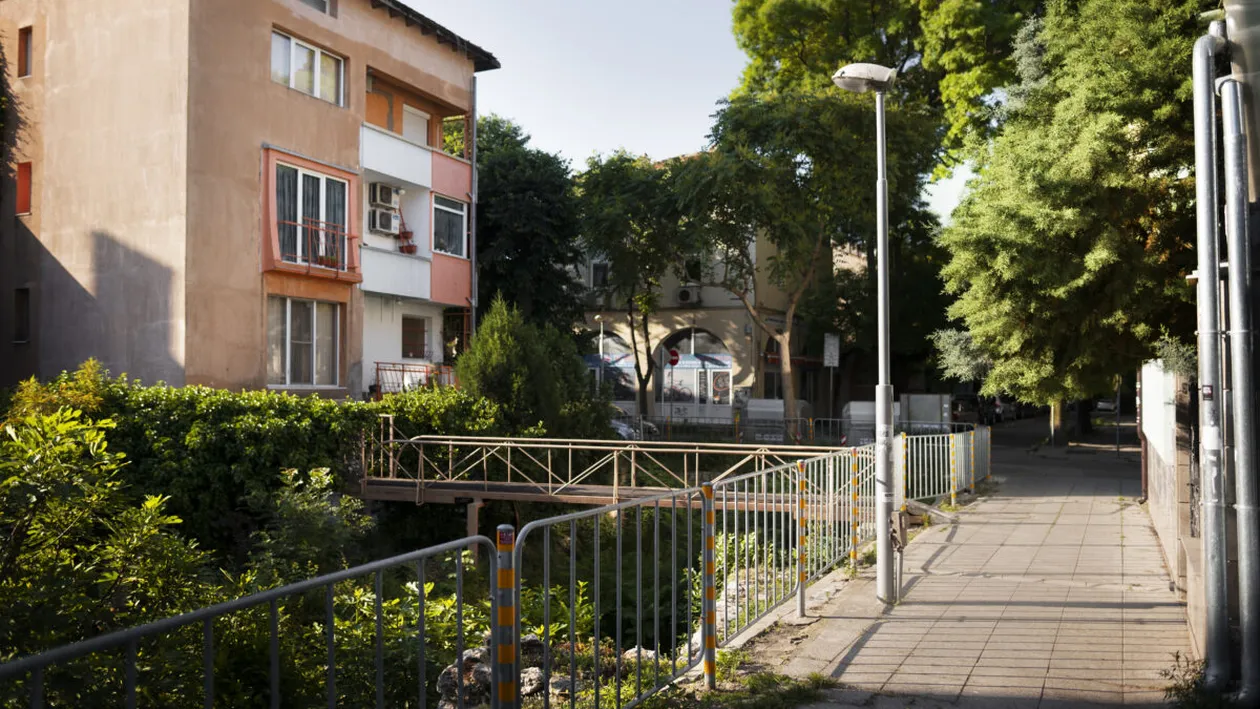 Cine primește amendă dacă spațiul din jurul blocului nu este întreținut. Regulile pentru asociațiile de proprietari