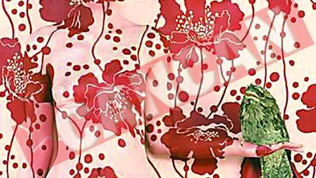 A pictat nuduri 19 ore