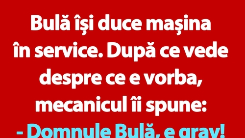 BANC | Bulă își duce mașina în service
