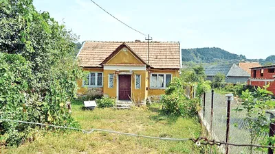 Doctorița din Oradea suspectată că și-a ucis și îngropat propriul copil, absolvită de vină. Cum a scăpat de acuzația de omor