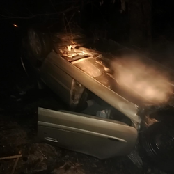 Imagine Galerie #3