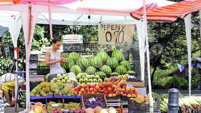 Canicula a dus la mutatii genetice? Fructe exotice "made in Dabuleni"