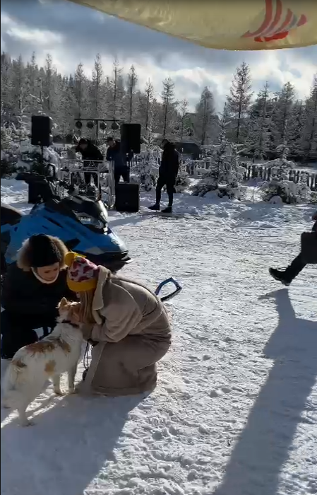 Un cățeluș i-a ieșit în cale și nu a mai scăpat de el