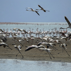 Imagine Galerie #2