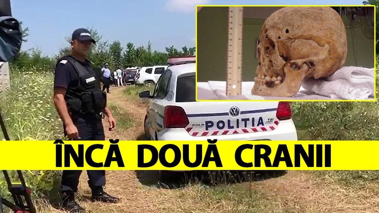 Lovitură de teatru în cazul Caracal: Două cranii, descoperite în "Odaia lui Soreață"