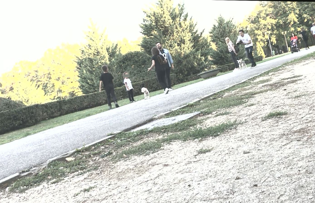 S-a dus moda bonelor filipineze! Ultima fiță a lui Cătălin Măruță: plimbare prin parc cu familia plus fotograf personal