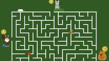 Test de inteligență pentru genii | Doar 1% poate ghici în 11 secunde ce pisică va ajunge prima la bolul cu mâncare