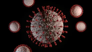 Coronavirusul suferă mutații pe măsură ce numărul bolnavilor crește și devine mai contagios