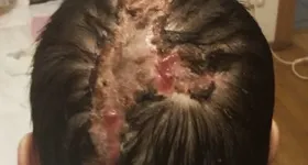 Galerie foto - poza 4