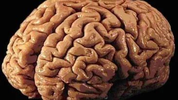 Incredibil! Un miliardar a plătit o sumă uriașă pentru a fi ucis! Care e ultima dorință