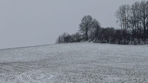 Prognoza meteo azi, 29 ianuarie 2026. Temperaturi moderate și cer predominant noros în aproape toate regiunile