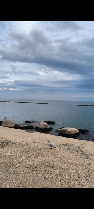 Check in | Cât am dat pe o pizza în Bari? Cum poți învăța să faci paste ca un localnic