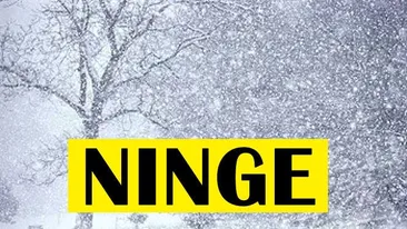 Ninge la această oră în România! Orașul unde au apărut primii fulgi de nea pe 16 aprilie 2019