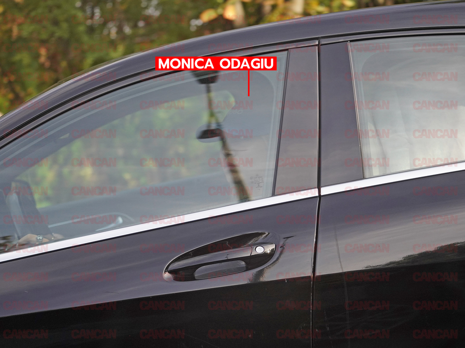 Monica Odagiu s-a urcat la volanul mașinii cu care a accidentat mortal un tânăr / (Sursa: CANCAN.RO)
