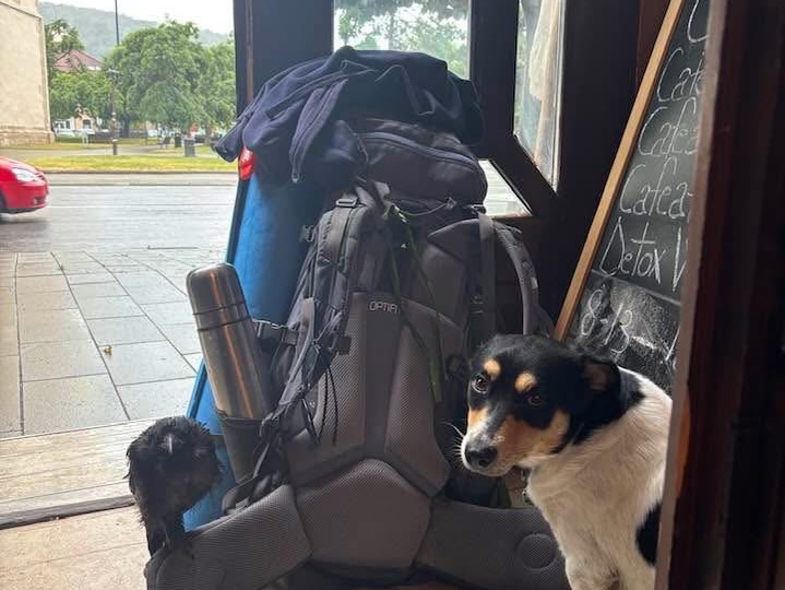 Ce animale de companie are Eduard Hordila de la Asia Express 2026. Sursa foto: Instagram