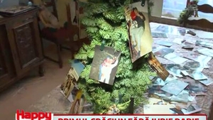 Anca Pandrea a făcut ce a promis! A împodobit bradul de Crăciun cu fotografiile lui Iurie Darie