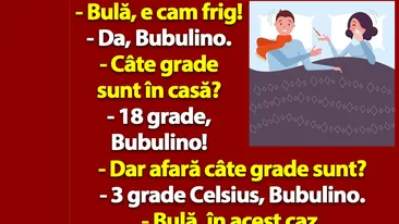 BANC | Bulă, e cam frig. Câte grade sunt în casă?
