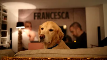 Primele imagini din casa lui Bobby Păunescu din West Hollywood Hills! Un afiş al filmului “Francesca” ocupă un perete!