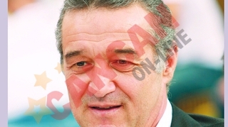 Gigi, schimbi si emblema Stelei?