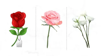 Test psihologic | Alege un trandafir! Răspunsul îți va spune cât de bine reziști la stres, de fapt