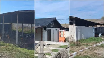 Localitatea din România în care poți cumpăra o fermă de 4000 m² cu 50.000 de euro. E la doar o oră de București