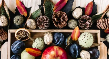 Fructul preferat al pensionarilor este vedeta toamnei! 1 kg costă doar 6 lei