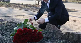 Galerie foto - poza 2