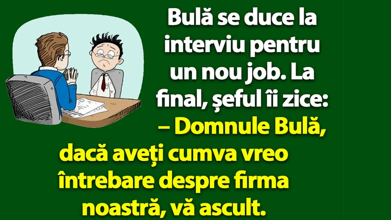 BANC | Bulă se duce la interviu pentru un nou job