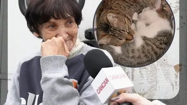 Povestea bătrânei de 70 de ani care trăiește într-o rulotă în cartierul milionarilor. 50 de pisici îi țin loc de familie!