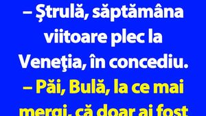 BANC | Bulă se duce în concediu în Veneția