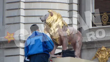Se munceste la palat! “Elefantul” Gigi Becali vrea sa atraga atentia asupra leilor sai de aur!