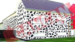 Si-au vopsit casa ca un dalmatian