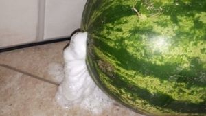 A cumpărat un pepene, în Piatra Neamţ. A ajuns acasă, i-a făcut „dop”, dar… surpriză! Au început să iasă spume. Când a aflat de ce, a rămas mut…