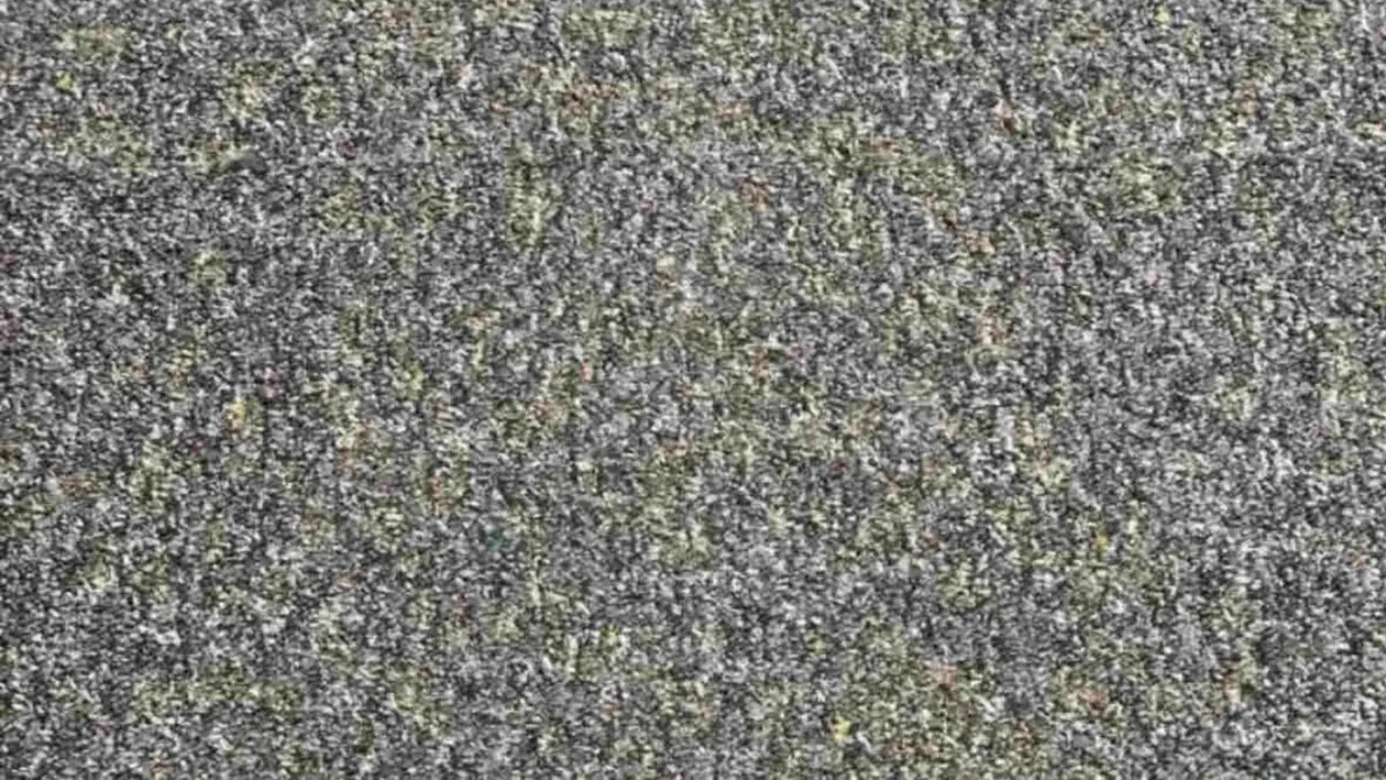 Test de inteligență | 98% din oameni nu văd unde se ascunde mina de creion din această poză