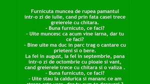 BANCUL ZILEI | Greierele și furnica - varianta 2023