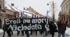 Galerie foto - poza 3