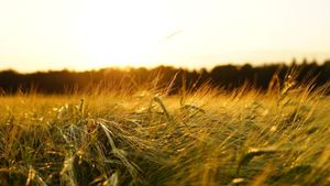 Prognoza meteo ANM pentru următoarea lună. Cum se vor schimba temperaturile