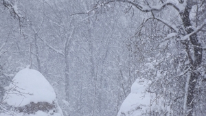 De Crăciun va ninge, iar temperaturile scad până la - 16 grade! Vezi aici prognoza meteo pe două săptămâni